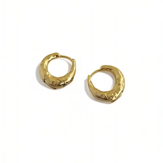 Small Circle Earrings